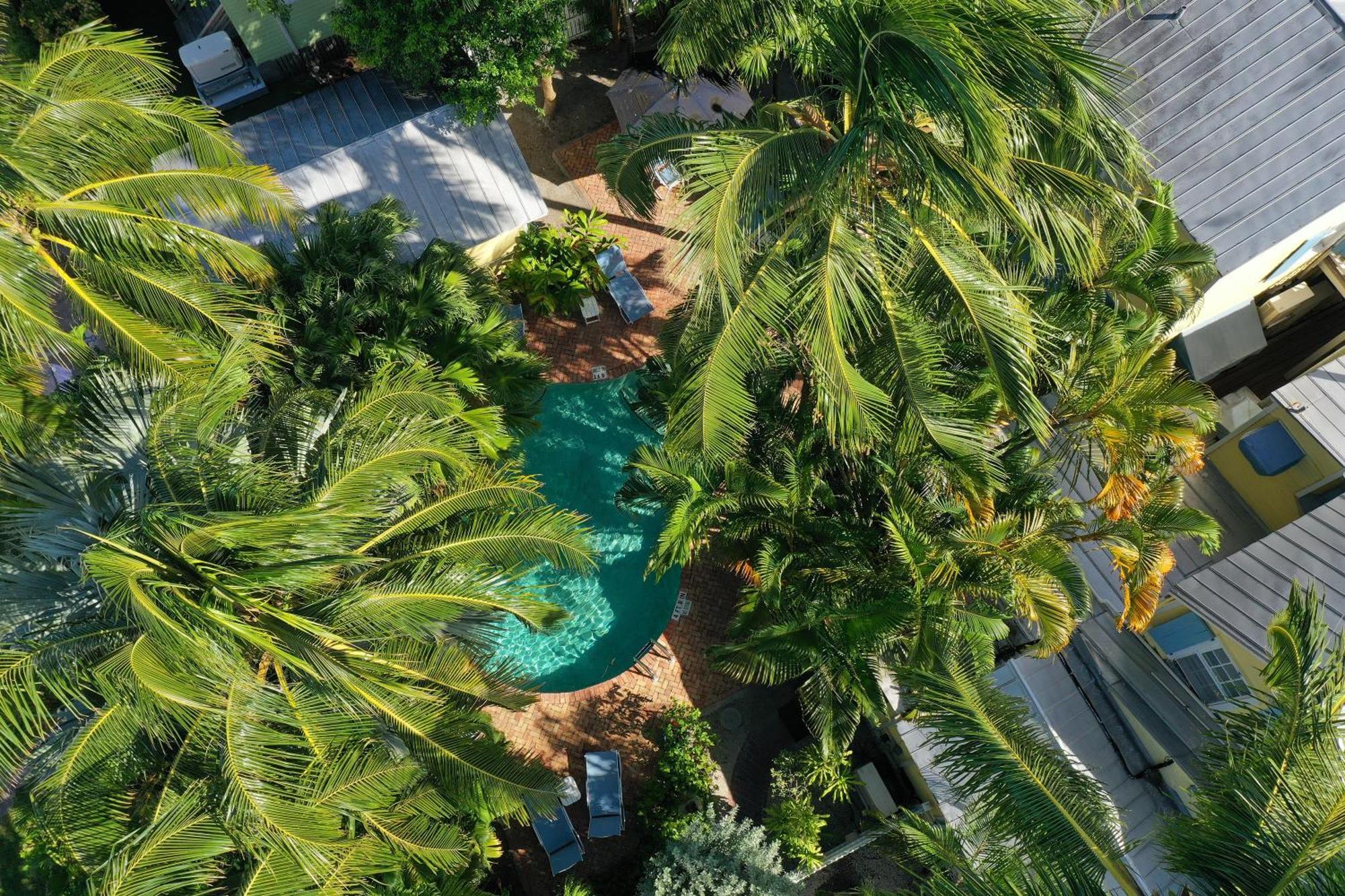 Tranquillity Guest House Key West Kültér fotó